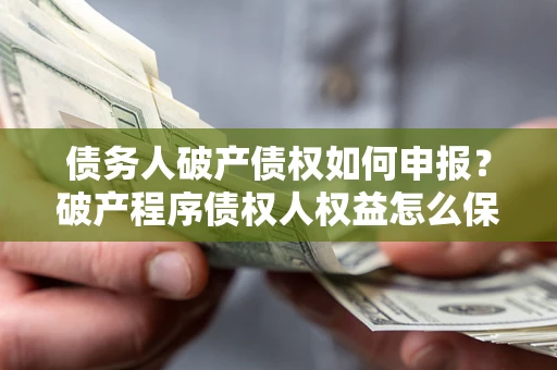 北京债务人破产债权如何申报？破产程序债权人权益怎么保障？